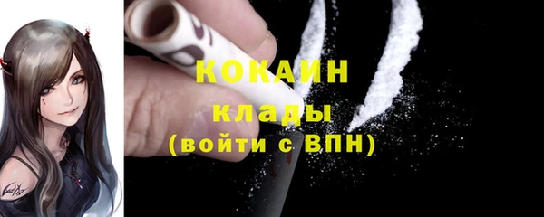 стаф Богородск
