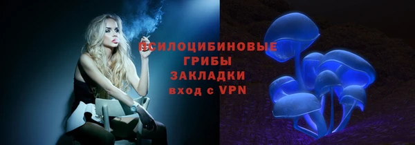эйфоретик Богородицк