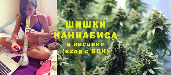 стаф Богородск