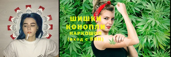 эйфоретик Богданович