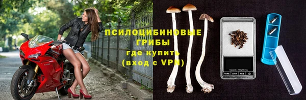 стаф Богородск