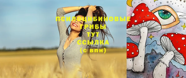 эйфоретик Богданович