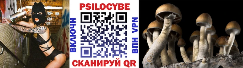 Галлюциногенные грибы MAGIC MUSHROOMS сколько стоит Шебекино