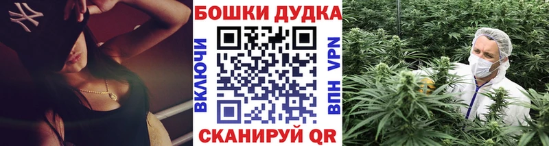 Шишки марихуана семена  наркошоп  Шебекино 